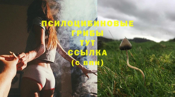 бошки Аркадак