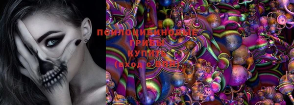 бошки Аркадак