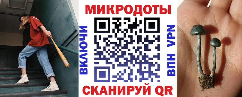 Галлюциногенные грибы ЛСД  Багратионовск 